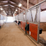 PNE Livestock Barn